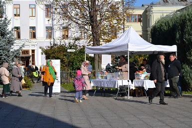 IMG_25-1