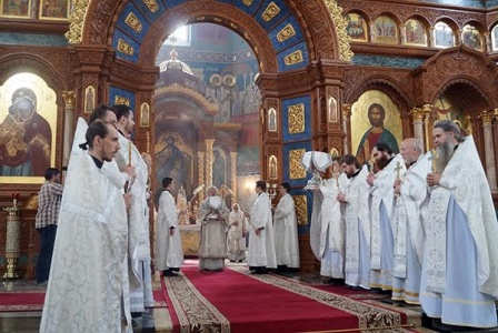 VII Межрегиональная конференция по социальному служению Русской Православной Церкви