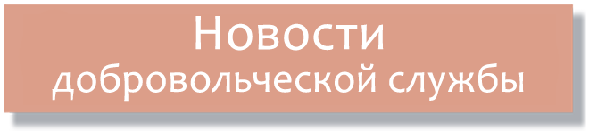 добров сл новости.png